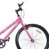 Myra spoer cycle 26 inch